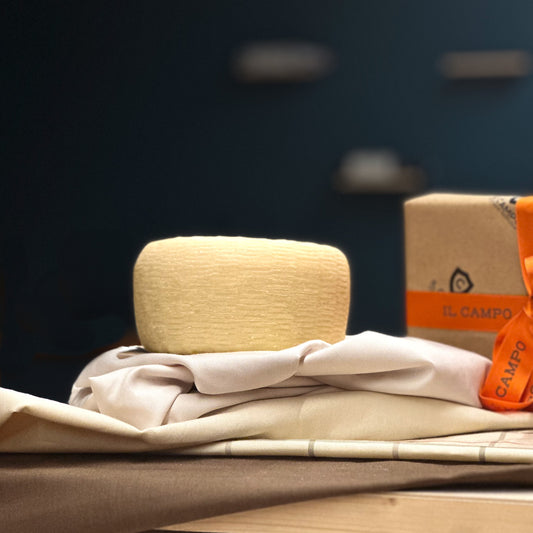 Caciotta di pecora stagionata