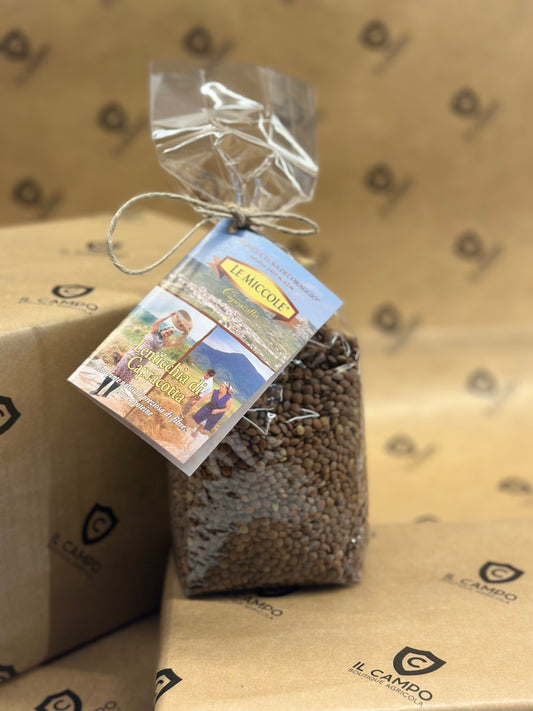 Lenticchie di Capracotta