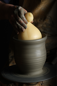 Cocciocavallo