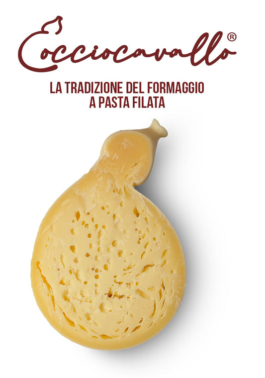 Cocciocavallo
