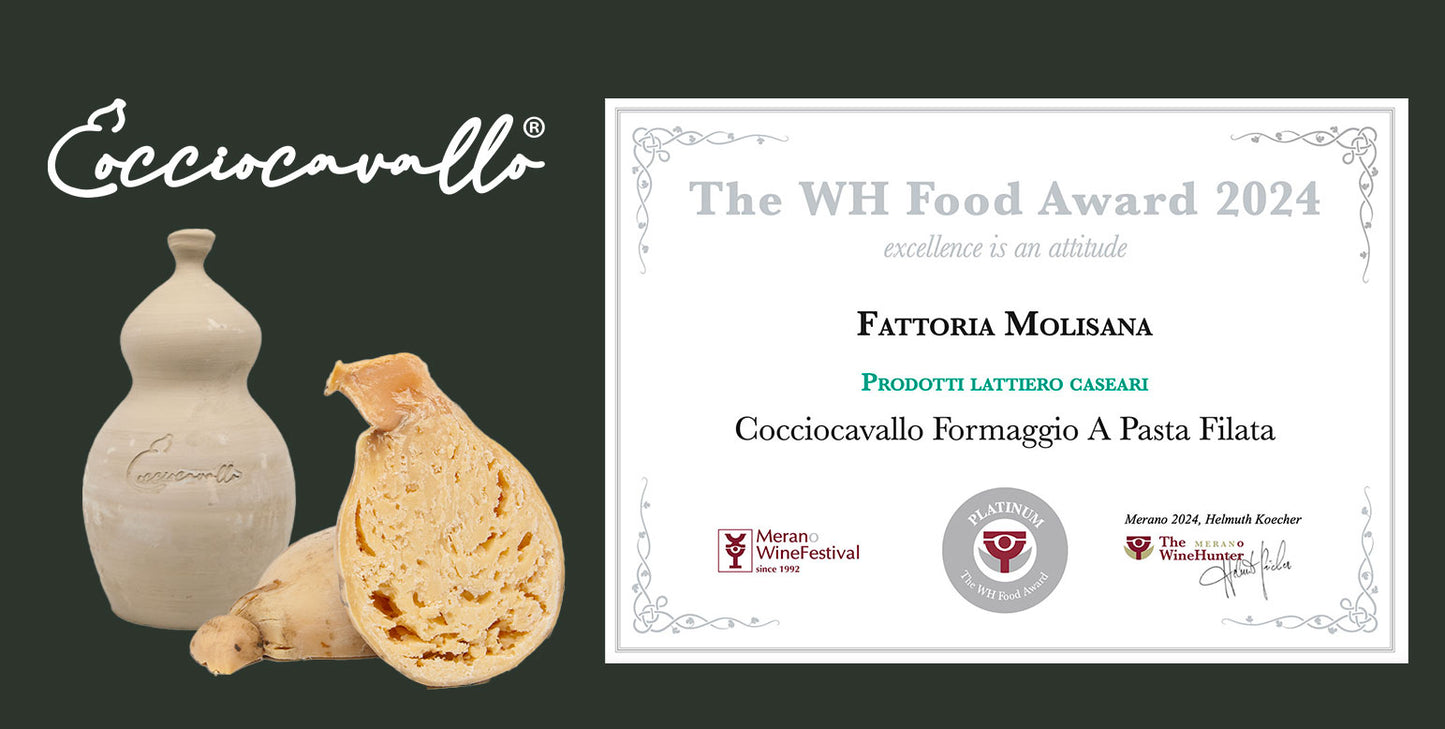 Cocciocavallo