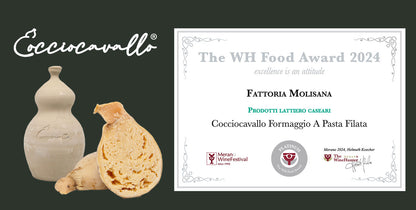 Cocciocavallo